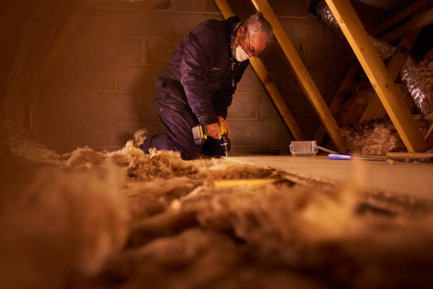 Best Spray Foam Insulation  in Brushy Creek, TX